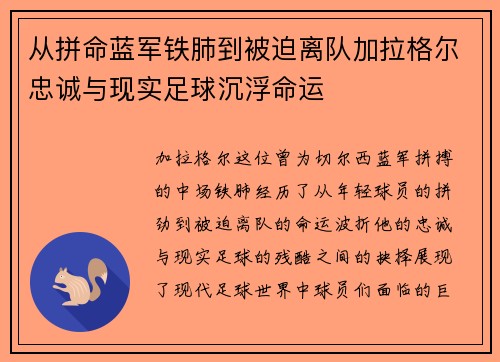 从拼命蓝军铁肺到被迫离队加拉格尔忠诚与现实足球沉浮命运